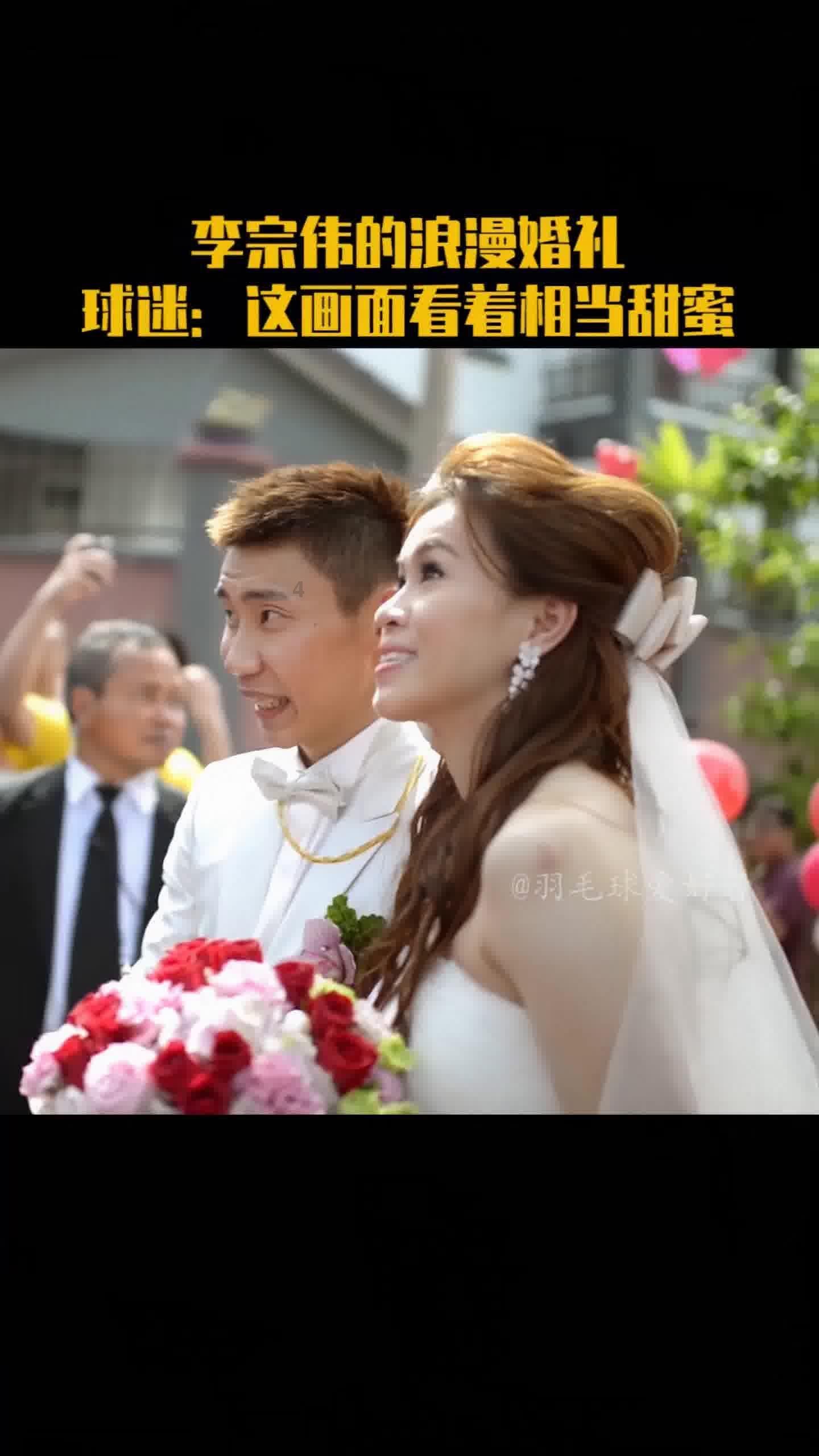 可爱小猫向上跳