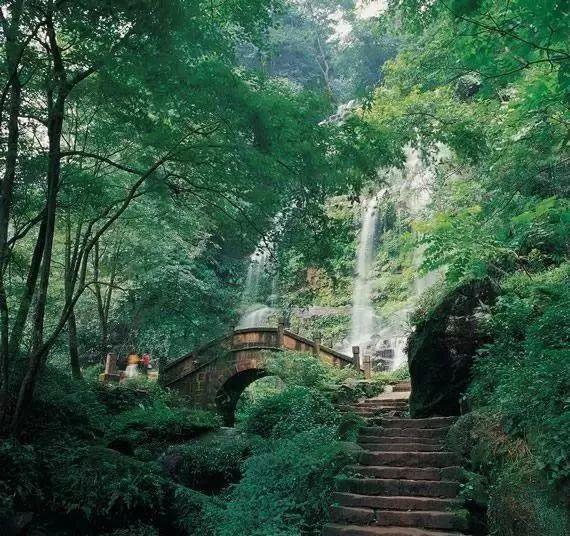 1984年,河南农村女教师突然得知,父亲是台湾富商,妹妹是林青霞
