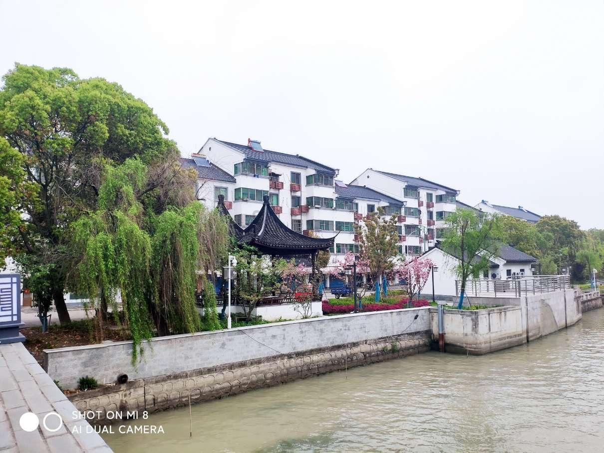 【学思想、强党性、重实践、建新功】凤栖街道:小小蘑菇撑起乡村振兴“致富伞”