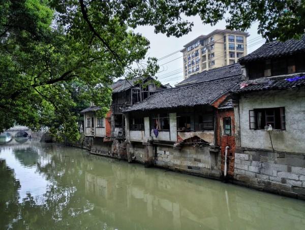 精灵的冒险之旅